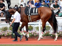 ����å��ǳ��������ɽ�����ޤ�