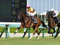 ����å��ǳ��������ɽ�����ޤ�