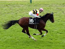 ����å��ǳ��������ɽ�����ޤ�