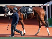 ����å��ǳ��������ɽ�����ޤ�