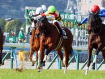 ����å��ǳ��������ɽ�����ޤ�