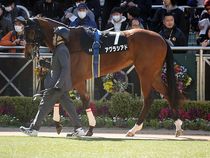 ����å��ǳ��������ɽ�����ޤ�