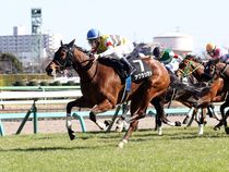 ����å��ǳ��������ɽ�����ޤ�