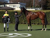 ����å��ǳ��������ɽ�����ޤ�