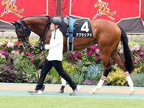 ����å��ǳ��������ɽ�����ޤ�