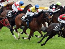 ����å��ǳ��������ɽ�����ޤ�