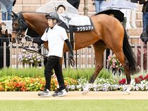 ����å��ǳ��������ɽ�����ޤ�