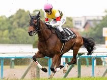 ����å��ǳ��������ɽ�����ޤ�