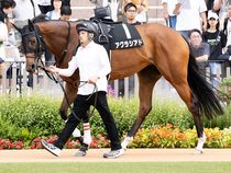 ����å��ǳ��������ɽ�����ޤ�