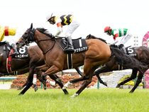 ����å��ǳ��������ɽ�����ޤ�