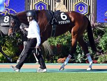 ����å��ǳ��������ɽ�����ޤ�