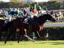 ����å��ǳ��������ɽ�����ޤ�