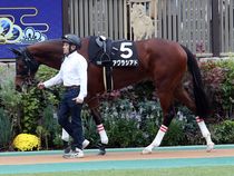 ����å��ǳ��������ɽ�����ޤ�