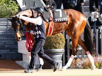 ����å��ǳ��������ɽ�����ޤ�