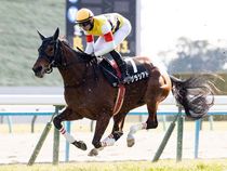 ����å��ǳ��������ɽ�����ޤ�