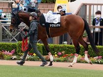 ����å��ǳ��������ɽ�����ޤ�