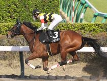 ����å��ǳ��������ɽ�����ޤ�