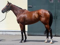 ����å��ǳ��������ɽ�����ޤ�