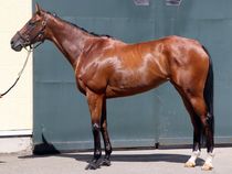 ����å��ǳ��������ɽ�����ޤ�