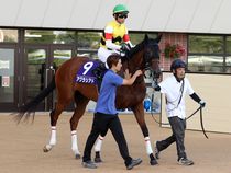 ����å��ǳ��������ɽ�����ޤ�