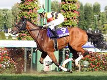 ����å��ǳ��������ɽ�����ޤ�