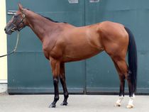 ����å��ǳ��������ɽ�����ޤ�