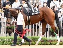 ����å��ǳ��������ɽ�����ޤ�