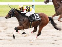 ����å��ǳ��������ɽ�����ޤ�