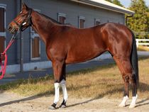 ����å��ǳ��������ɽ�����ޤ�