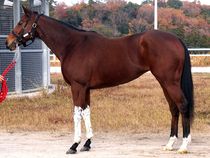 ����å��ǳ��������ɽ�����ޤ�