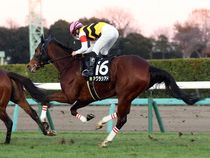 ����å��ǳ��������ɽ�����ޤ�