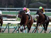 ����å��ǳ��������ɽ�����ޤ�