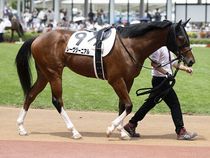 ����å��ǳ��������ɽ�����ޤ�