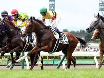 ����å��ǳ��������ɽ�����ޤ�