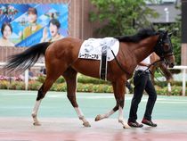 ����å��ǳ��������ɽ�����ޤ�