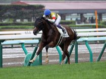 ����å��ǳ��������ɽ�����ޤ�