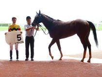 ����å��ǳ��������ɽ�����ޤ�