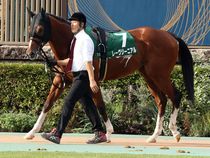 ����å��ǳ��������ɽ�����ޤ�