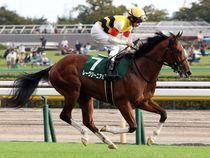 ����å��ǳ��������ɽ�����ޤ�