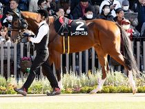 ����å��ǳ��������ɽ�����ޤ�