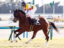 ����å��ǳ��������ɽ�����ޤ�