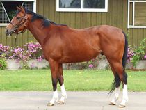 ����å��ǳ��������ɽ�����ޤ�