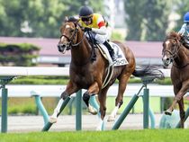 ����å��ǳ��������ɽ�����ޤ�