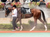 ����å��ǳ��������ɽ�����ޤ�