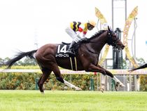 ����å��ǳ��������ɽ�����ޤ�