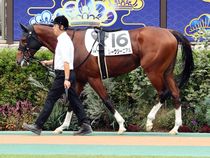 ����å��ǳ��������ɽ�����ޤ�