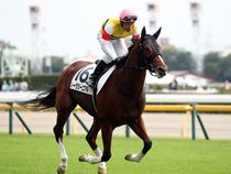 ����å��ǳ��������ɽ�����ޤ�