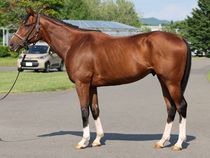 ����å��ǳ��������ɽ�����ޤ�