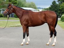 ����å��ǳ��������ɽ�����ޤ�