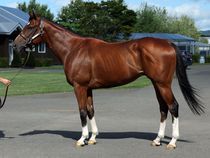 ����å��ǳ��������ɽ�����ޤ�